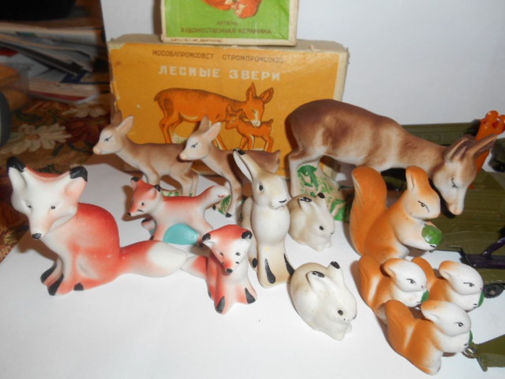 DSCN0517.JPG