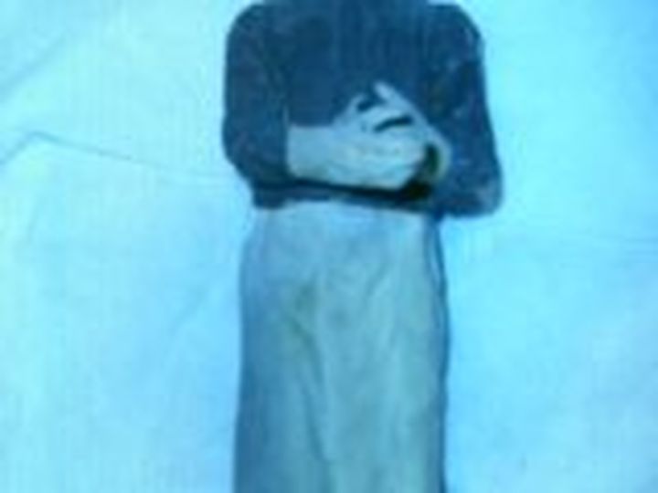 STP65891.JPG