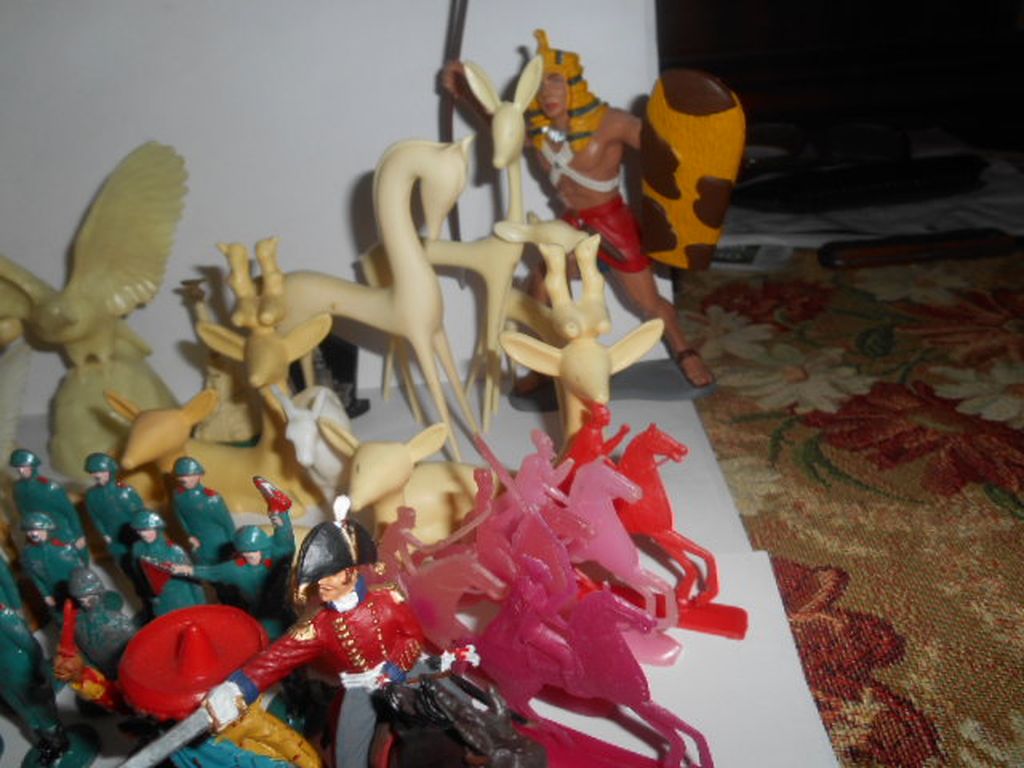 DSCN0817.JPG
