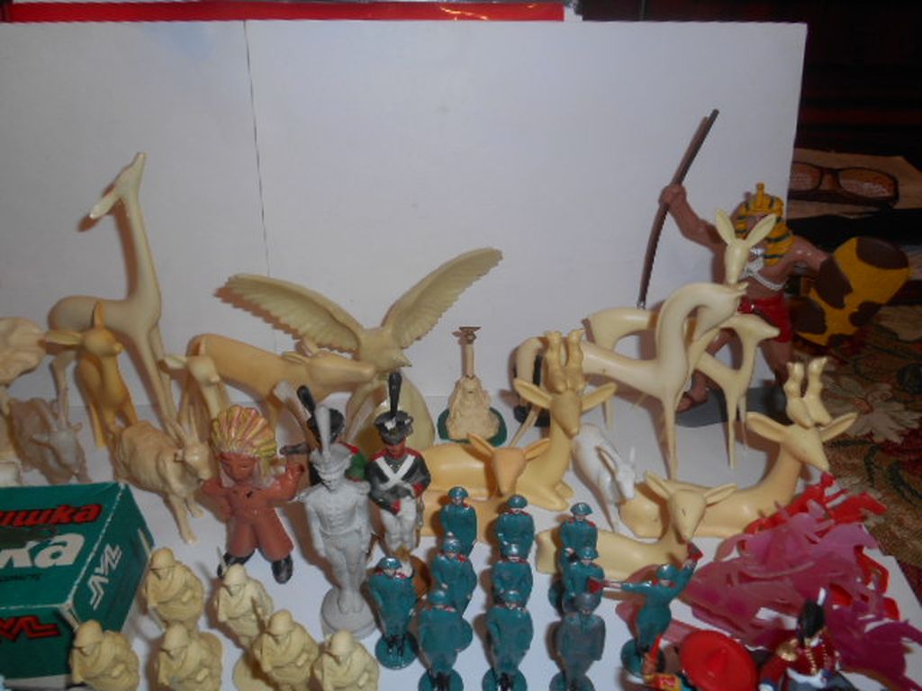 DSCN0821.JPG