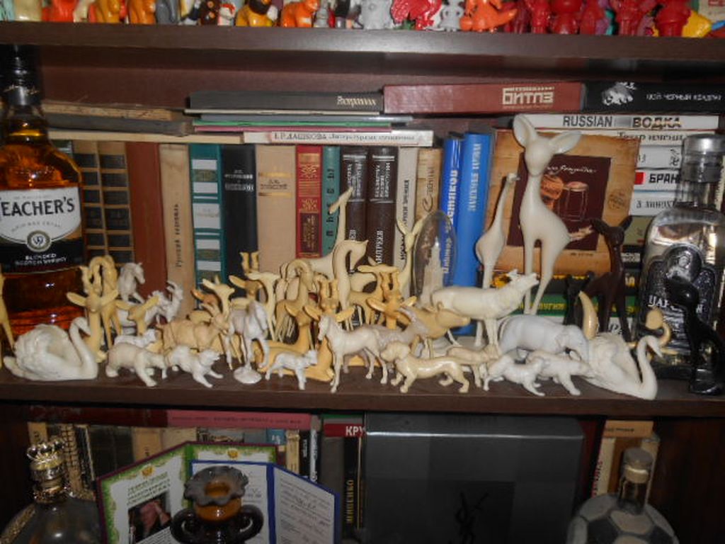 DSCN0826.JPG