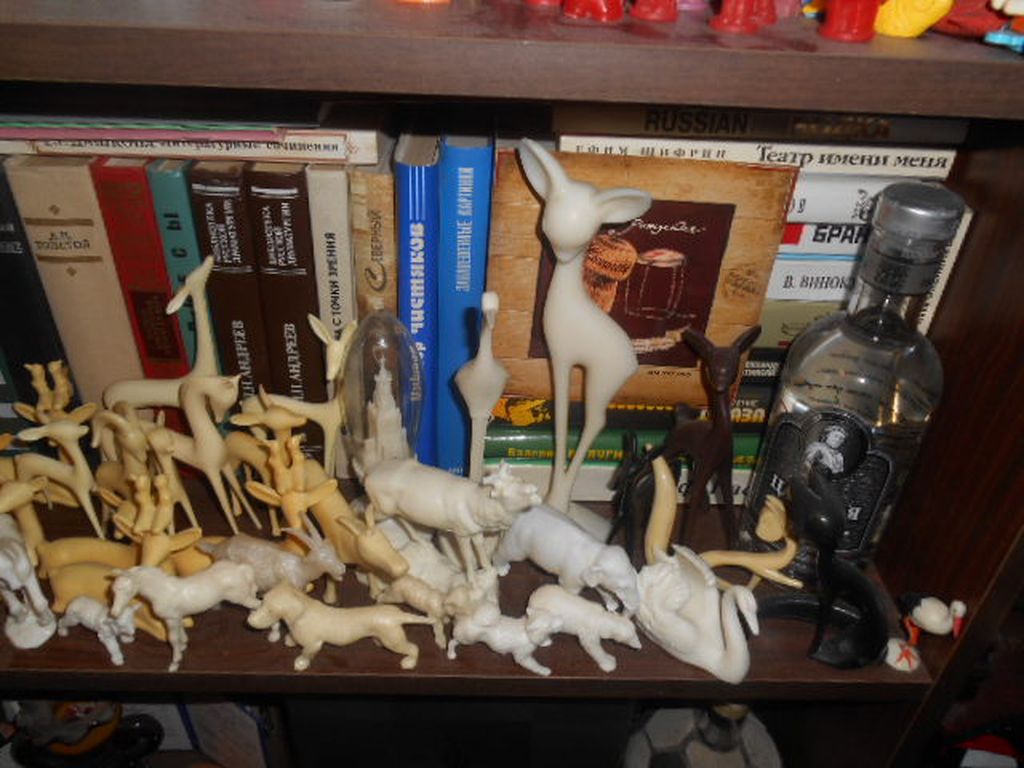 DSCN0834.JPG