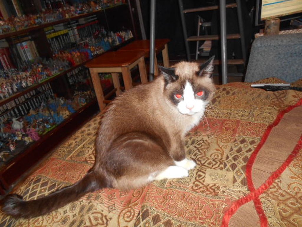 DSCN1199.JPG