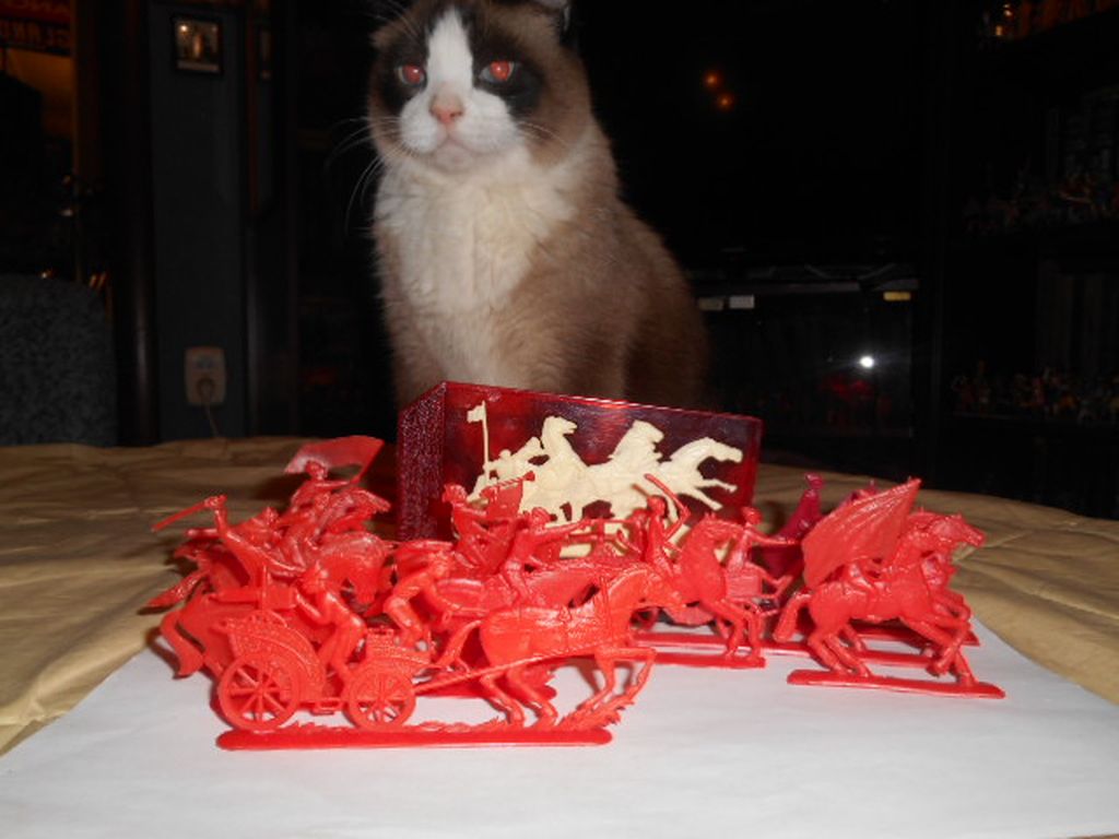 DSCN1236.JPG