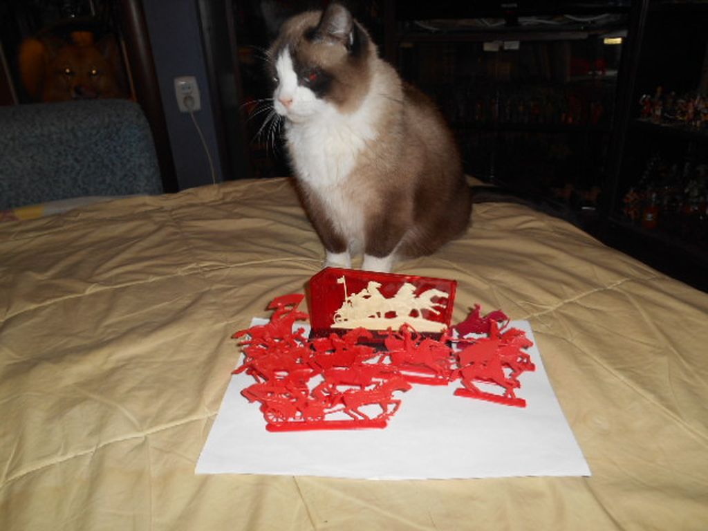 DSCN1239.JPG