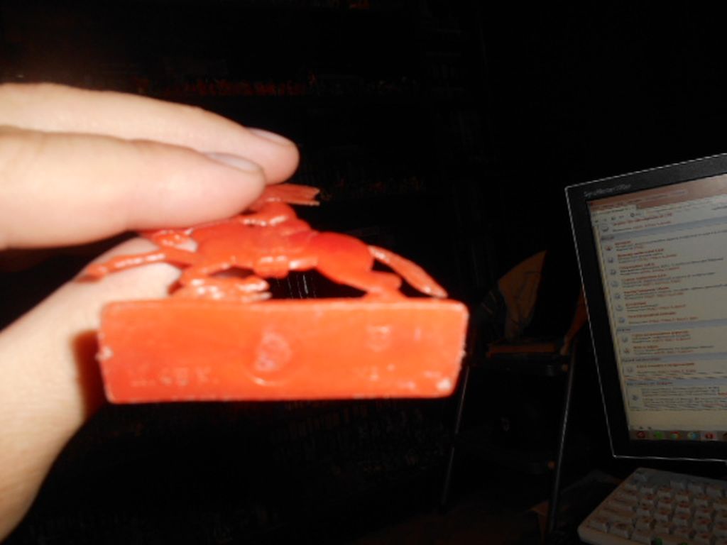 DSCN1385.JPG