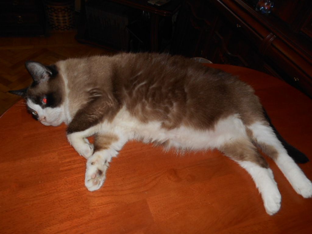 DSCN1977.JPG