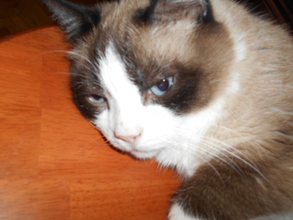 DSCN1978.JPG