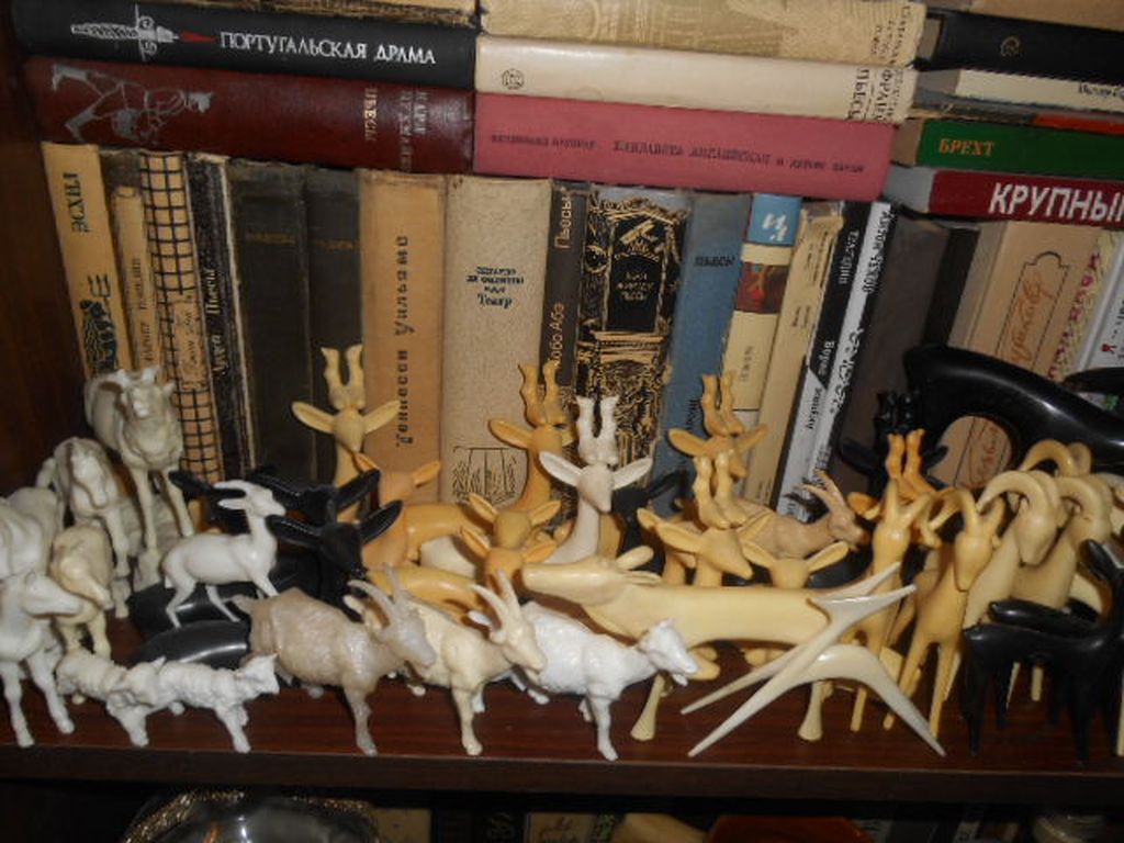 DSCN2320.JPG