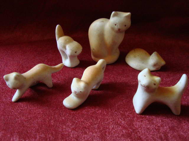 DSC06284.jpg