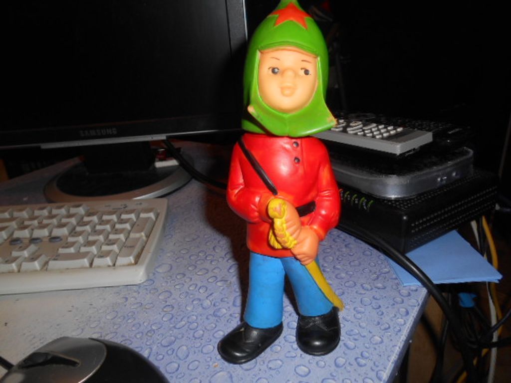 DSCN2451.JPG