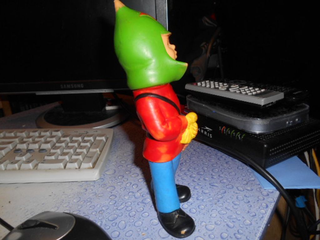 DSCN2454.JPG