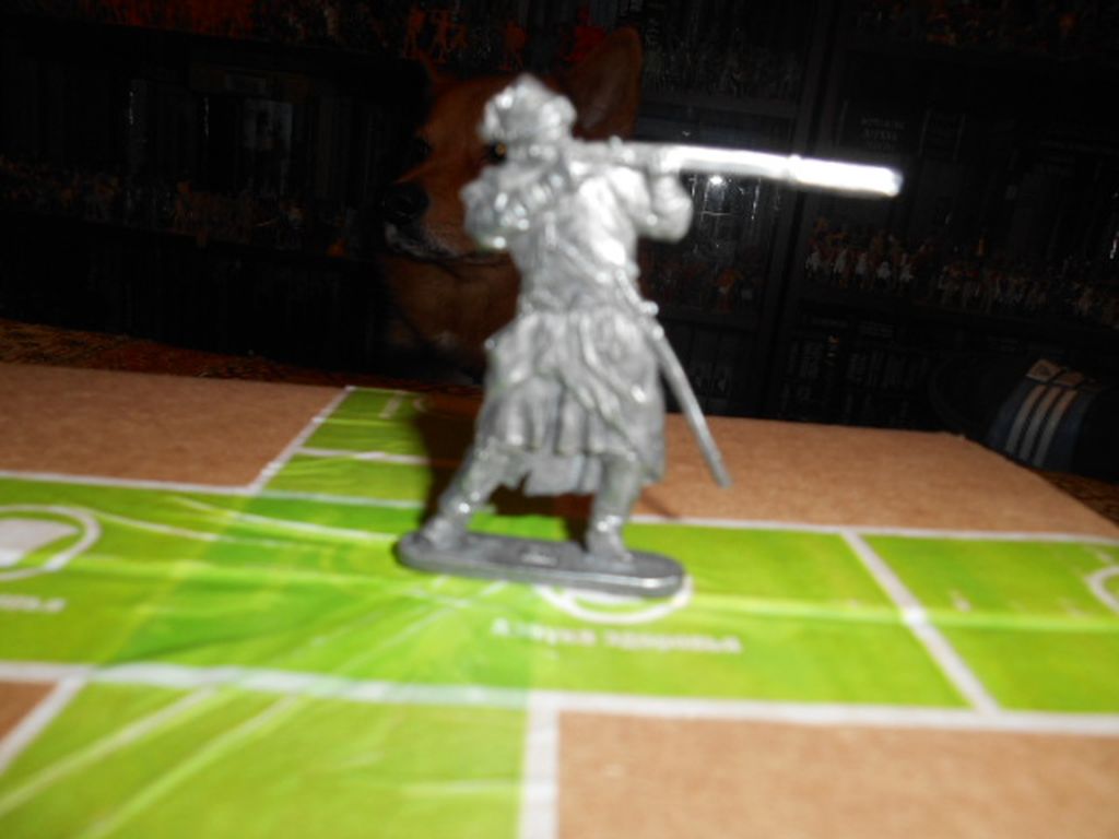 DSCN2667.JPG