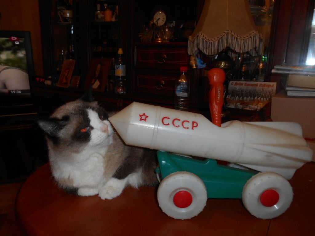 DSCN2691.JPG