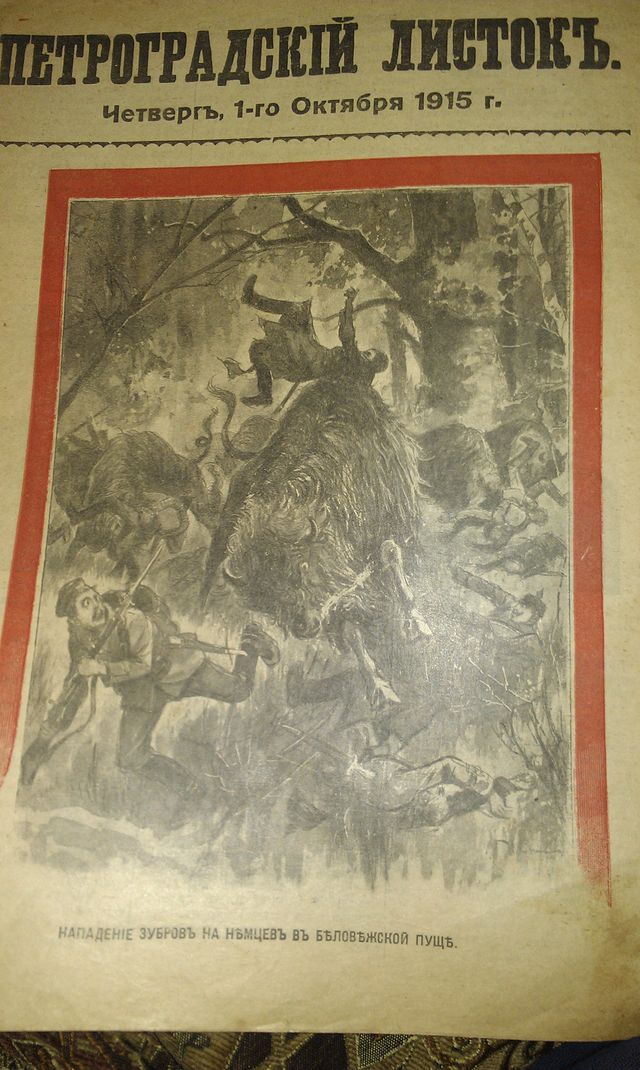 IMAG1434.jpg